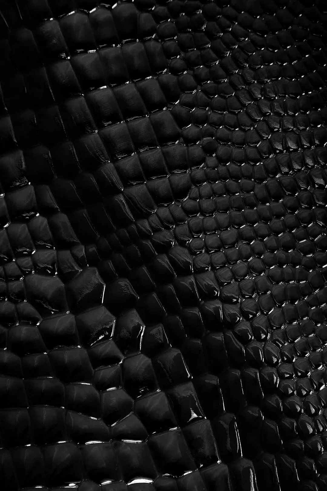 Black Luxe Croc Jacket
