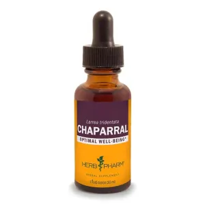 Chaparral Extract