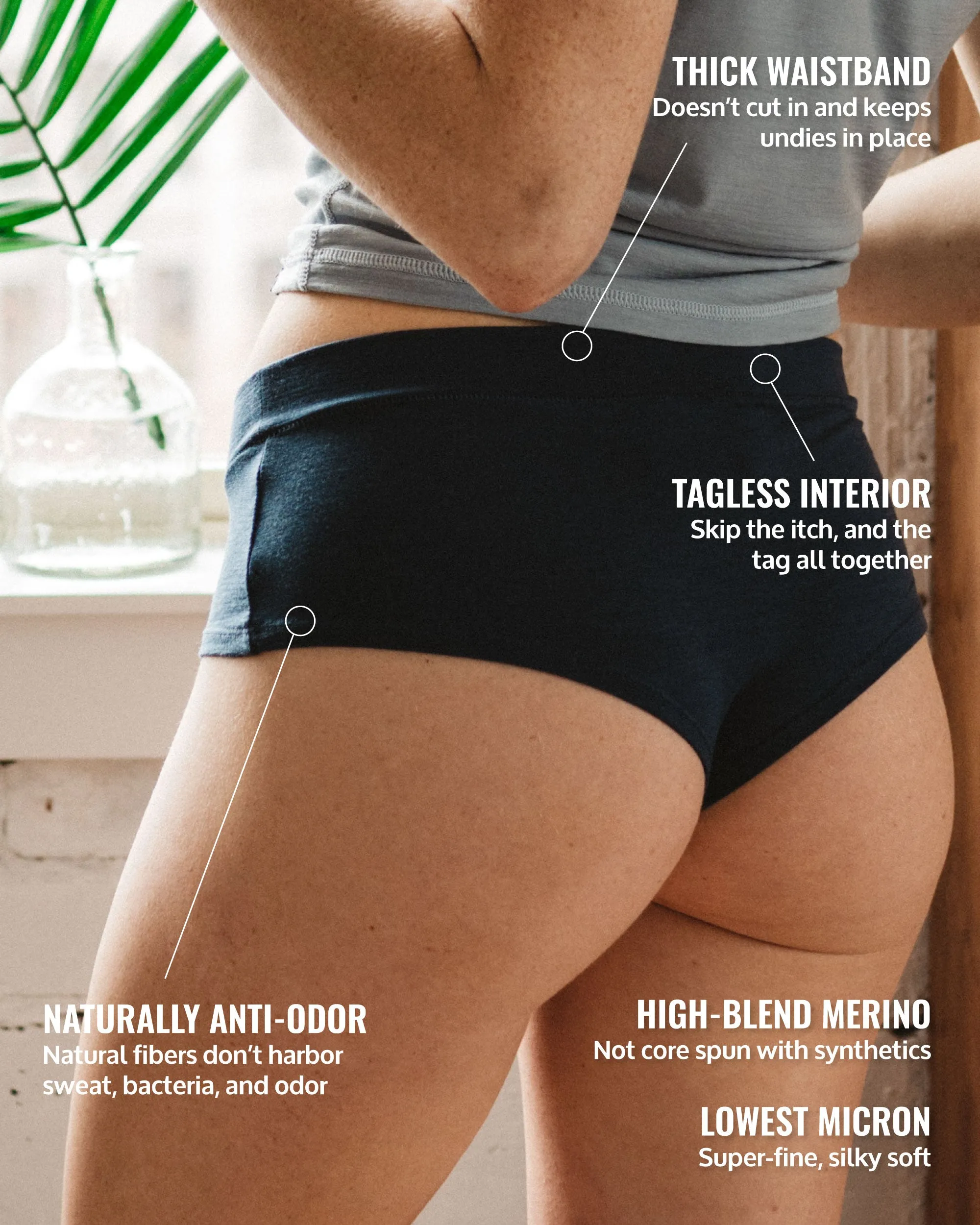 Cheeky Brief