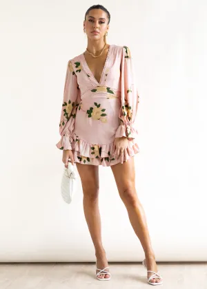 Denerio Mini Dress - Blush Flowers