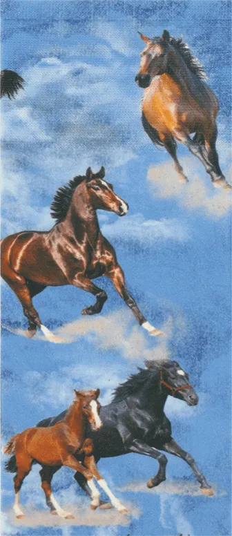 Denim Horses Anklets