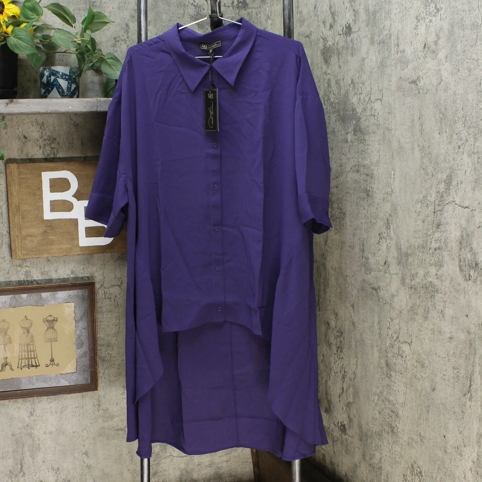 DG2 by Diane Gilman Women's Plus Size Drama Button Front Hi-Low Blouse