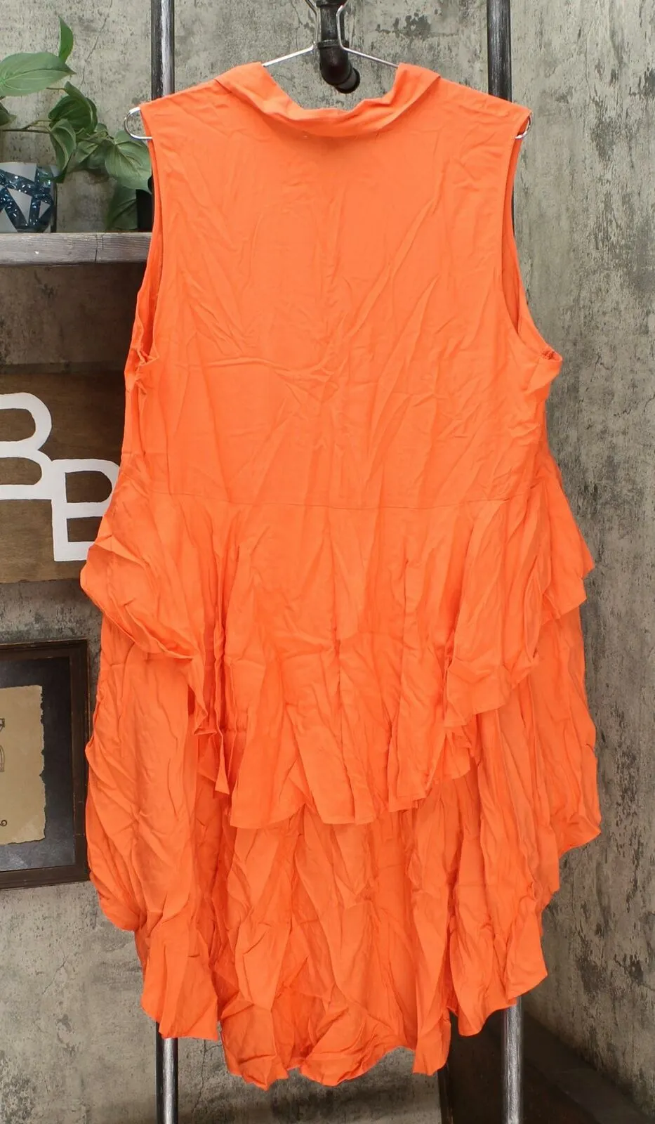 DG2 by Diane Gilman Women's Plus Size Drama Ruffle Shirt Blouse
