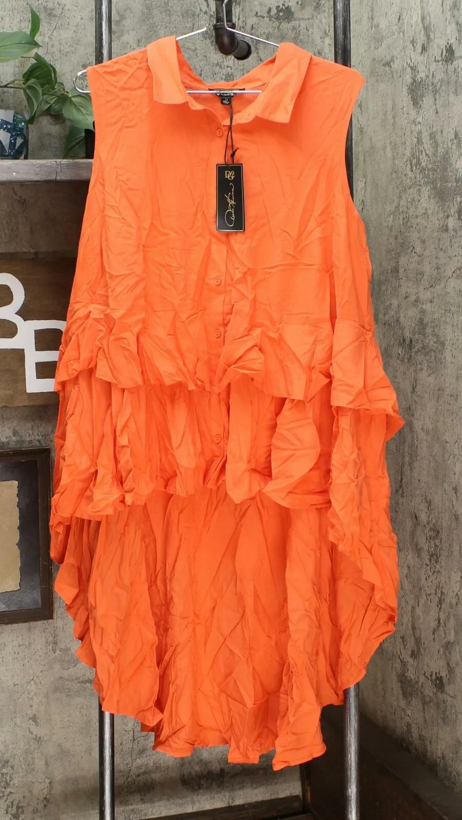 DG2 by Diane Gilman Women's Plus Size Drama Ruffle Shirt Blouse