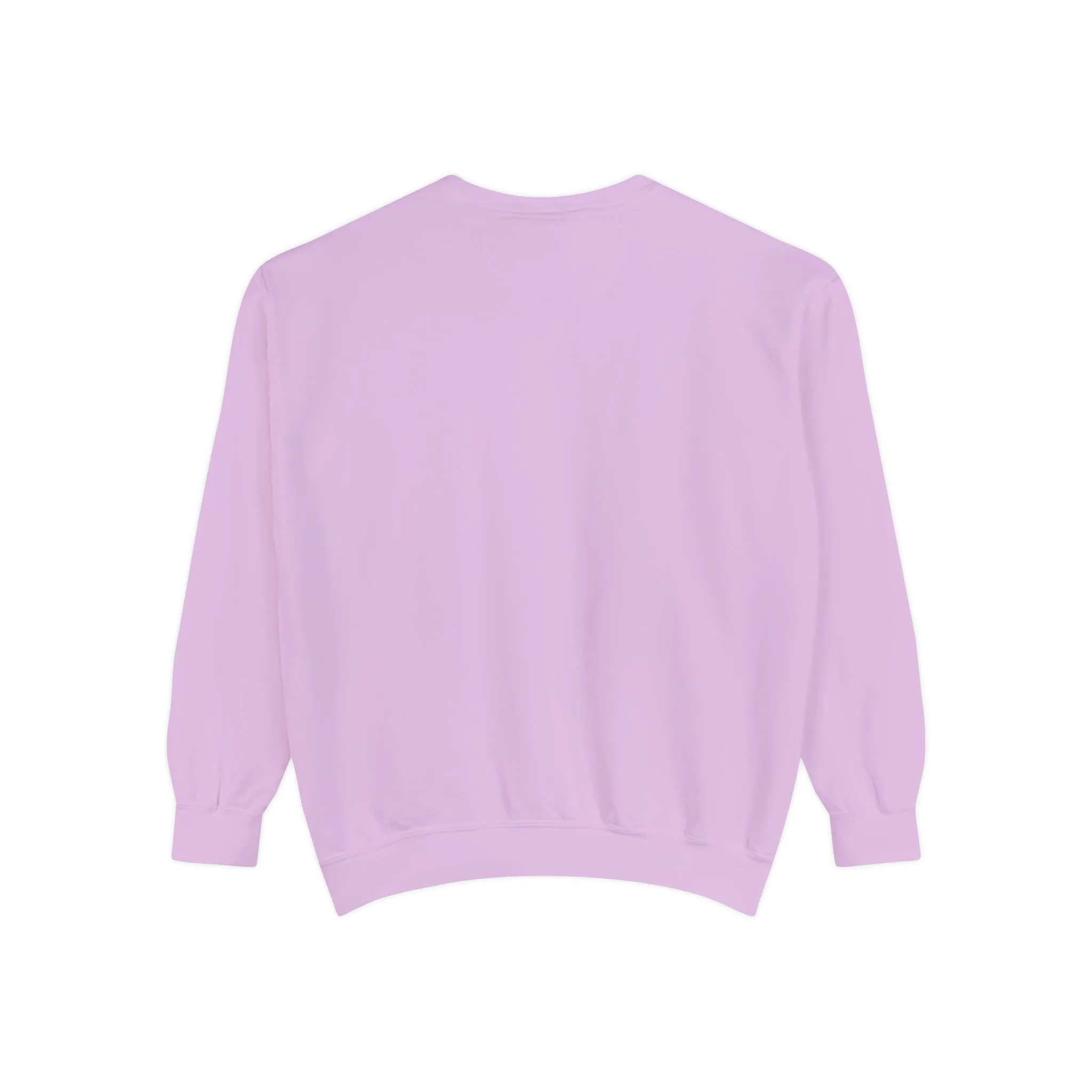 Drake Fairy Sweatshirt