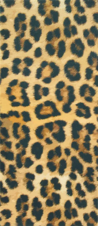 Jaguar Knee Highs