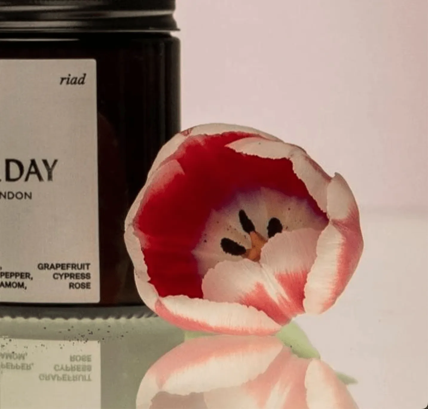 Luxury Vegan Candle | Riad 180ml
