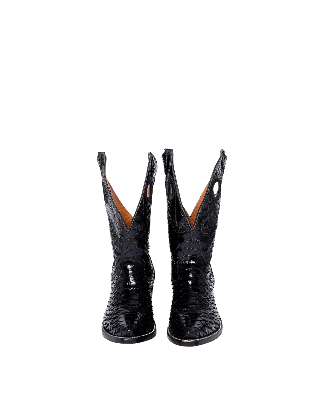 Molly Black Python