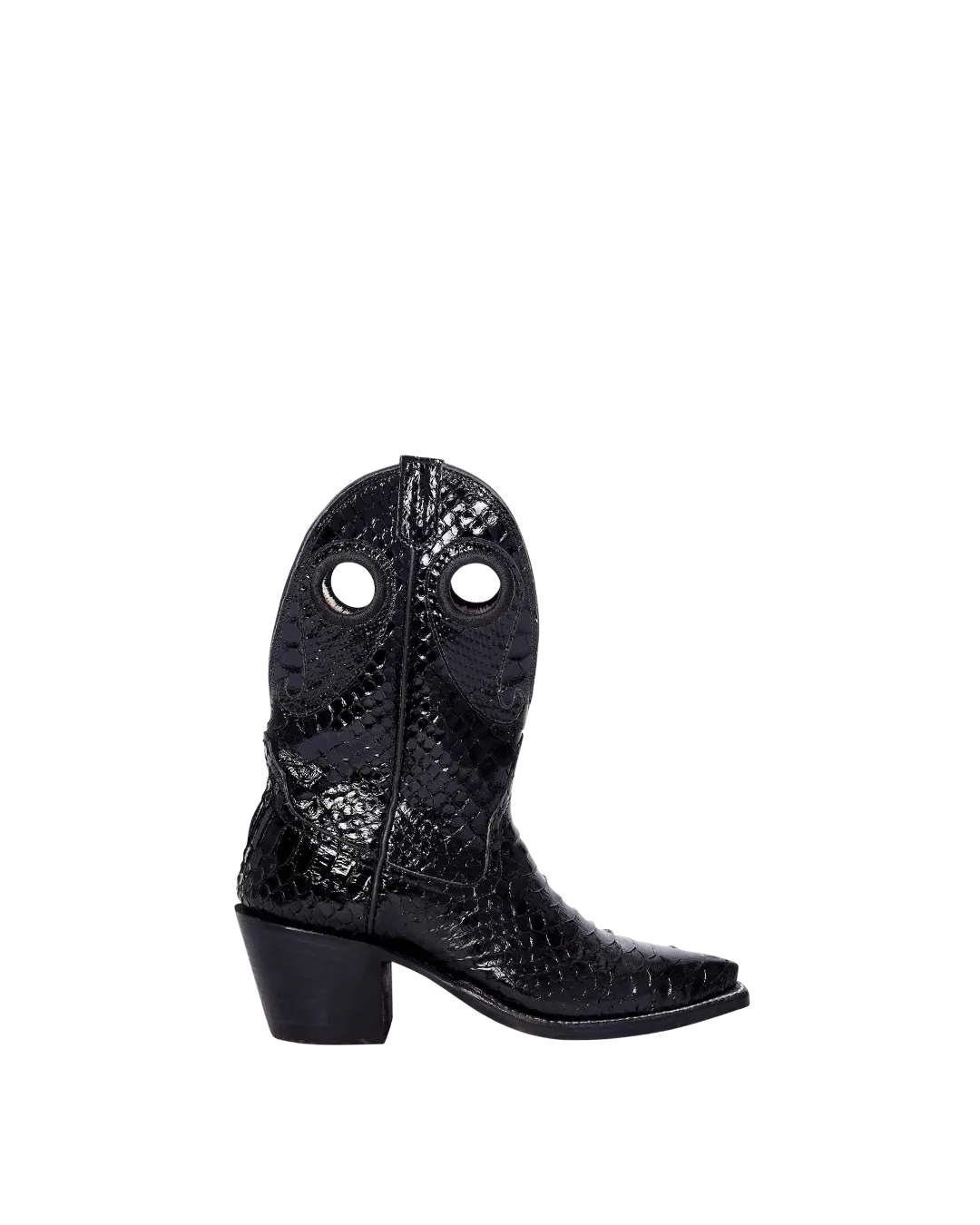 Molly Black Python
