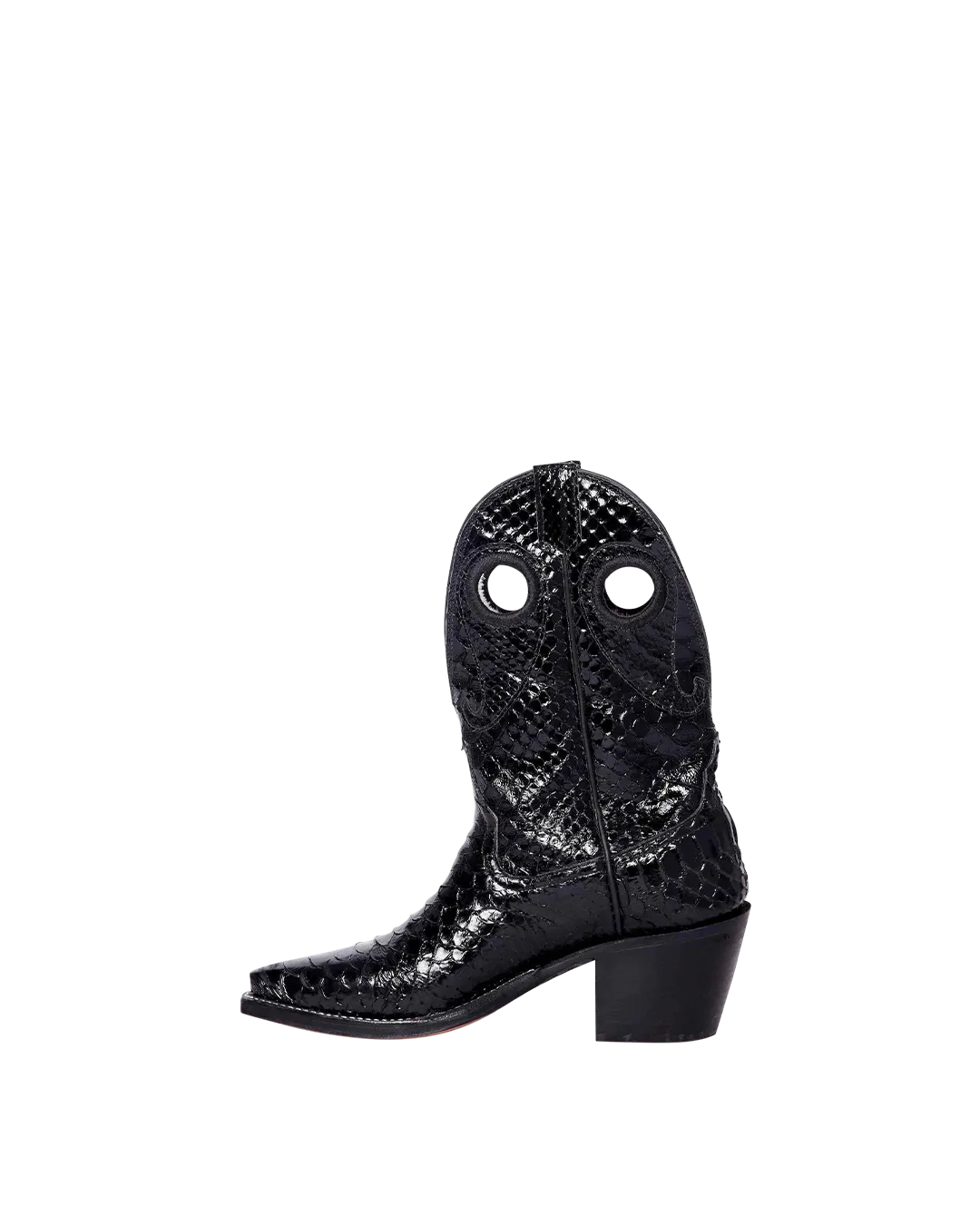 Molly Black Python