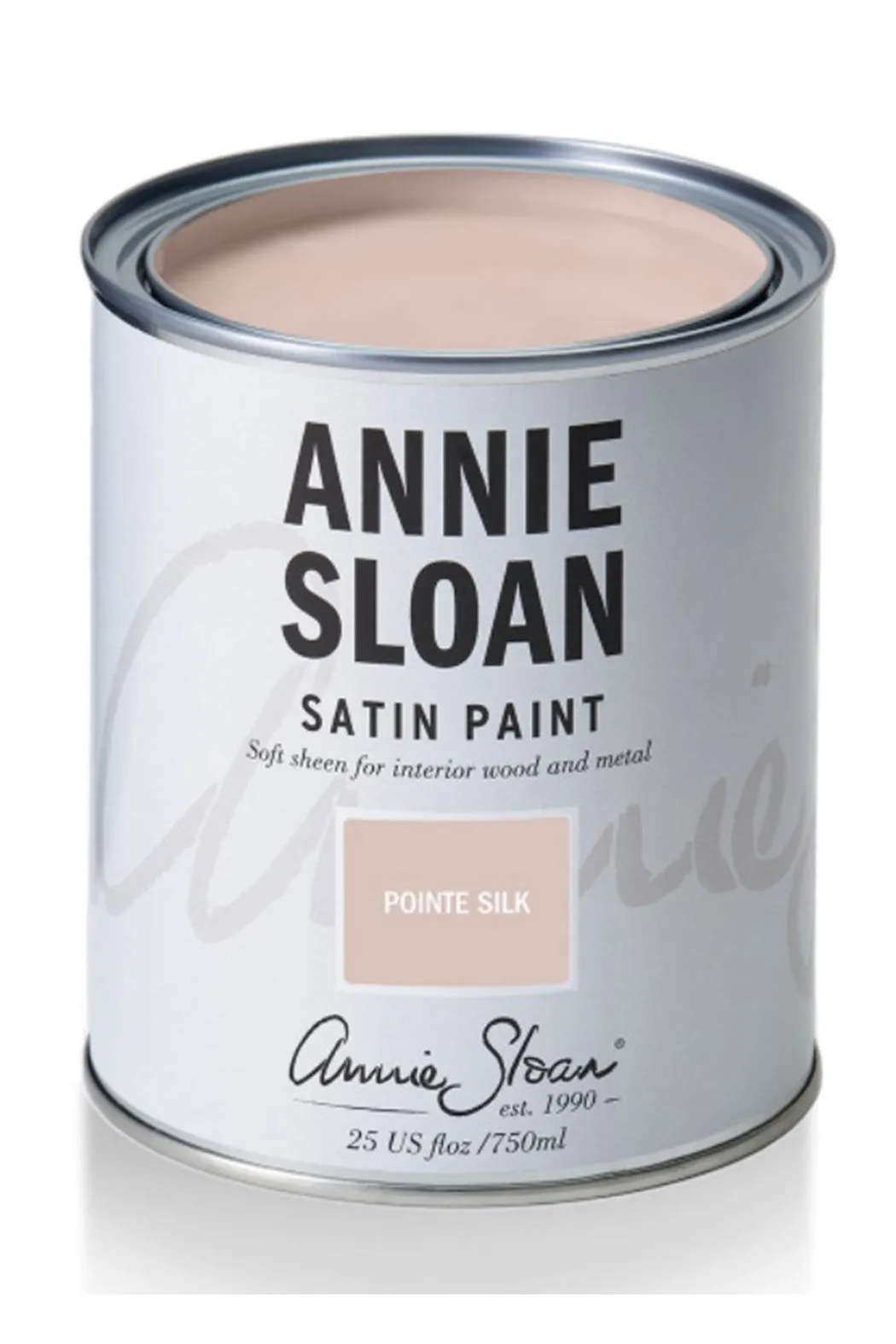 Pointe Silk Satin Paint