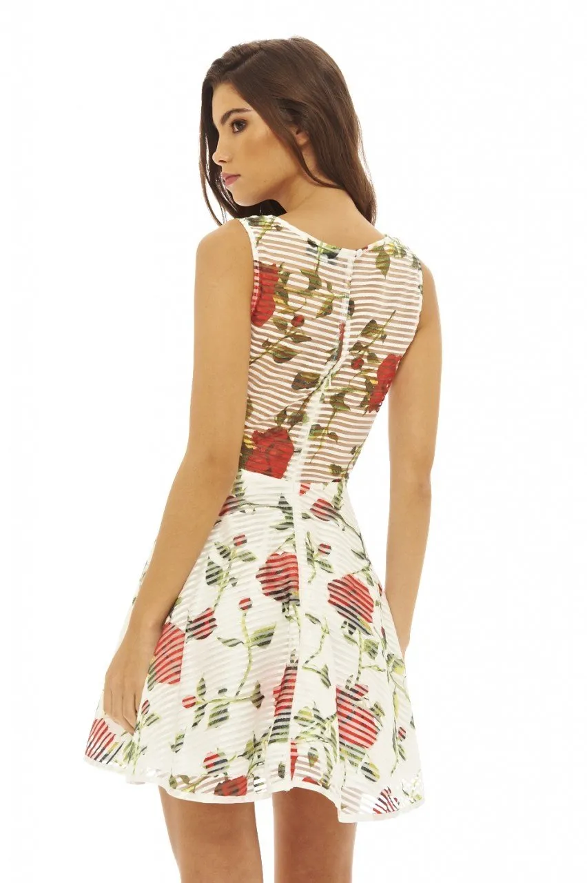 Rose Printed Skater Dress