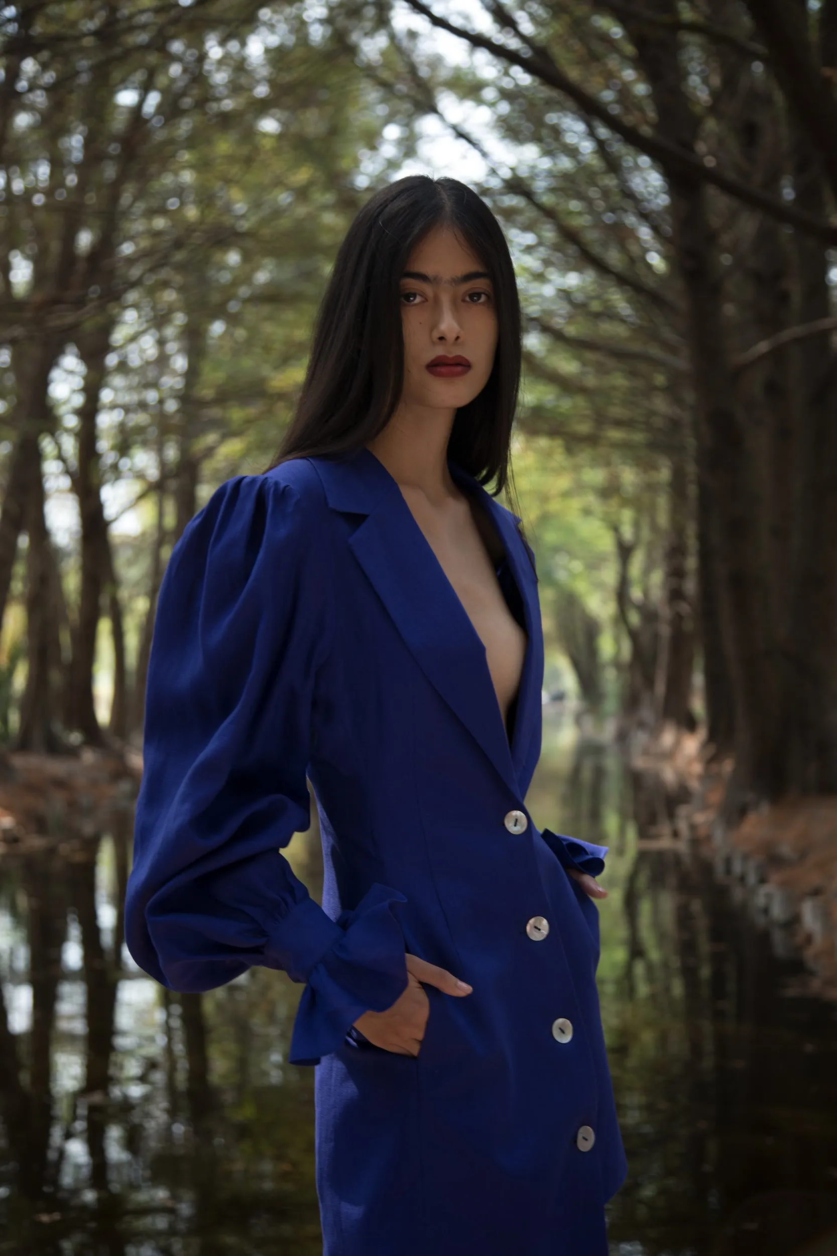 Selena Azul Dress